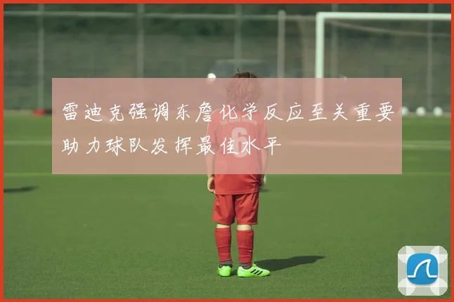 雷迪克强调东詹化学反应至关重要助力球队发挥最佳水平