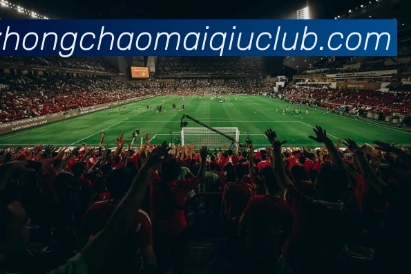 平台展示图