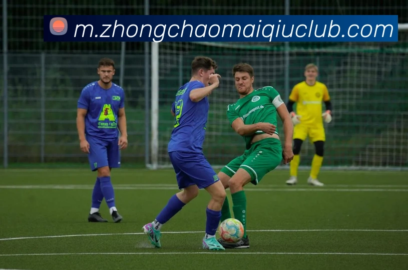 多媒体互动体验